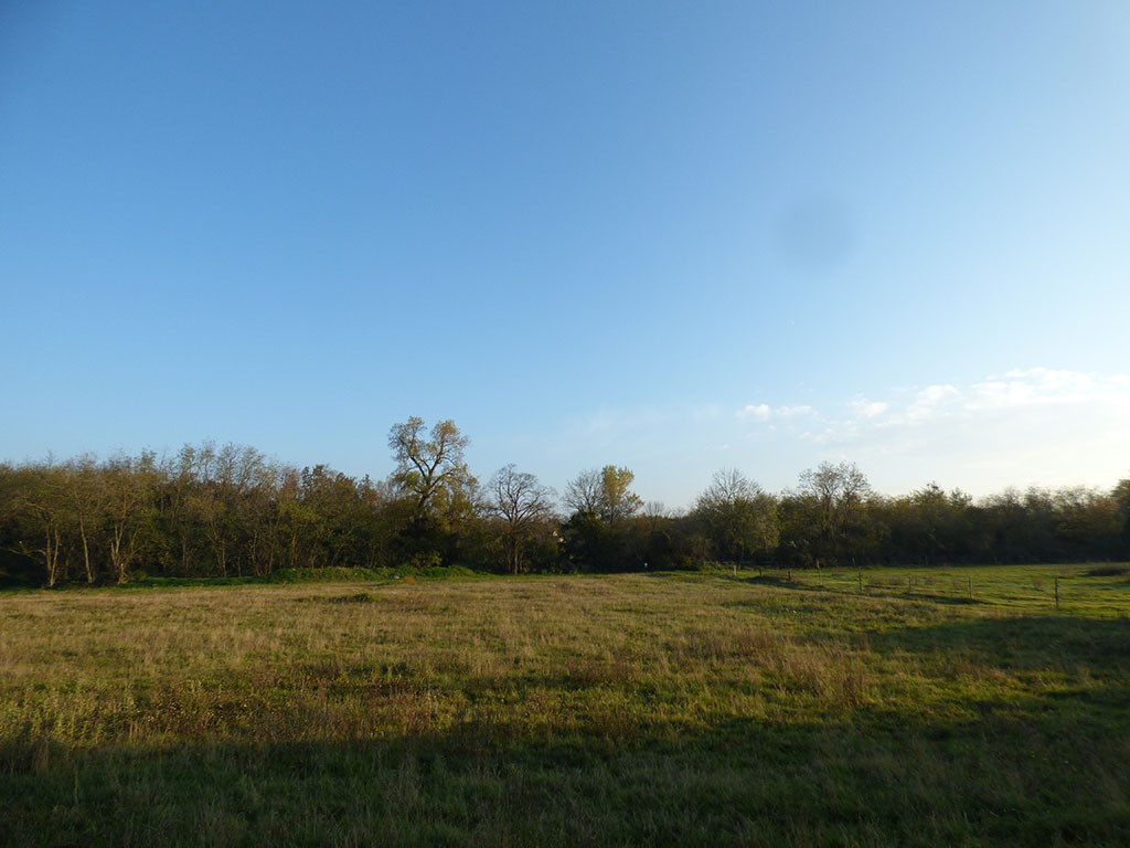 terrain domaine roma