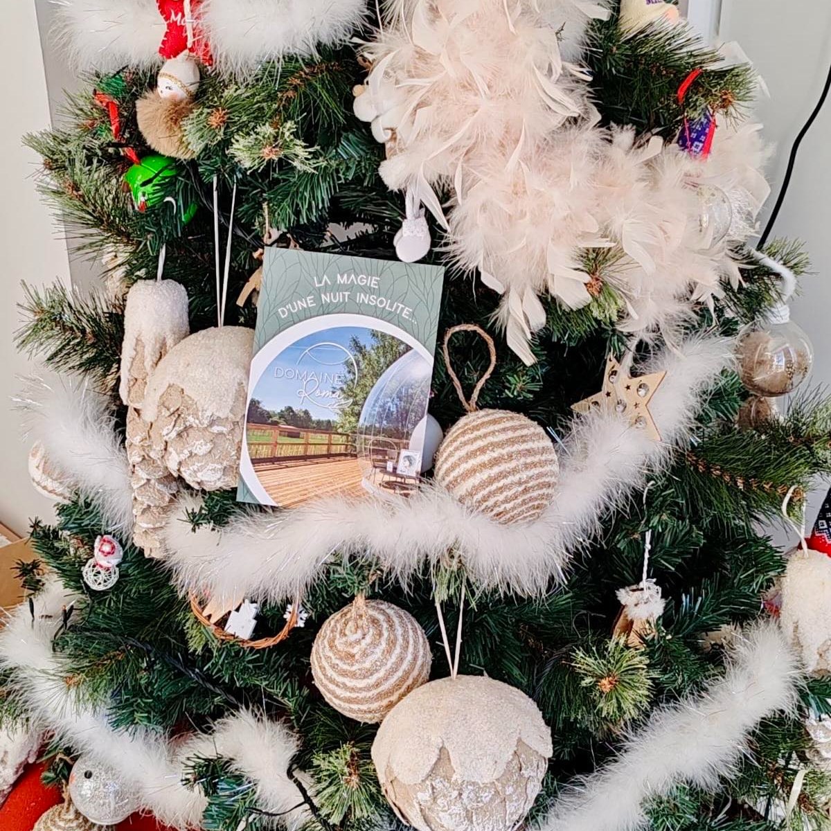 carte-cadeau-hebergement-insolite-isere offrez un bon cadeau nuit en bulle