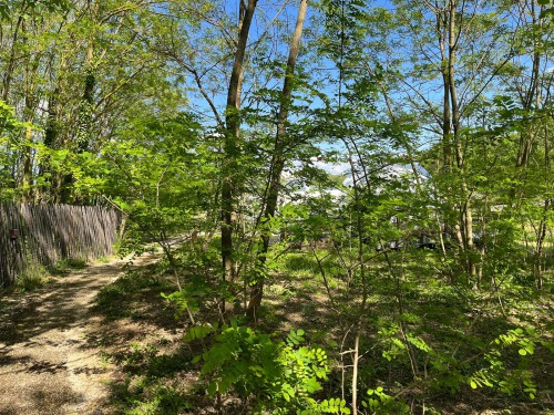 alentours verdure autour du Domaine Roma en Isère